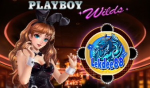 เกมสล็อต Playboy Wilds